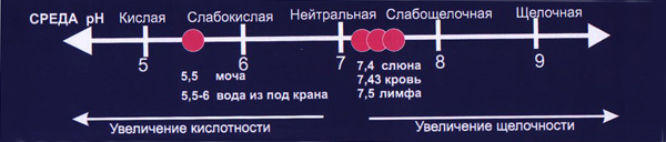 Страны Члены Опек Курсовая