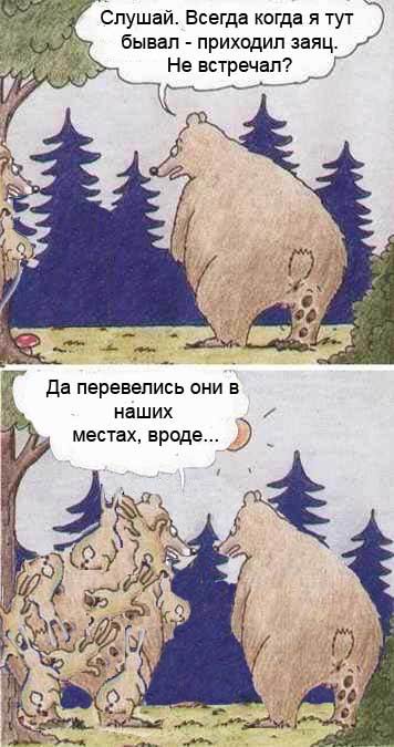 Скачать Мы Ебали Медведя