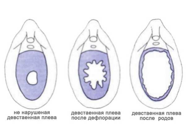 Смотреть Лишение Девственности Отверткой