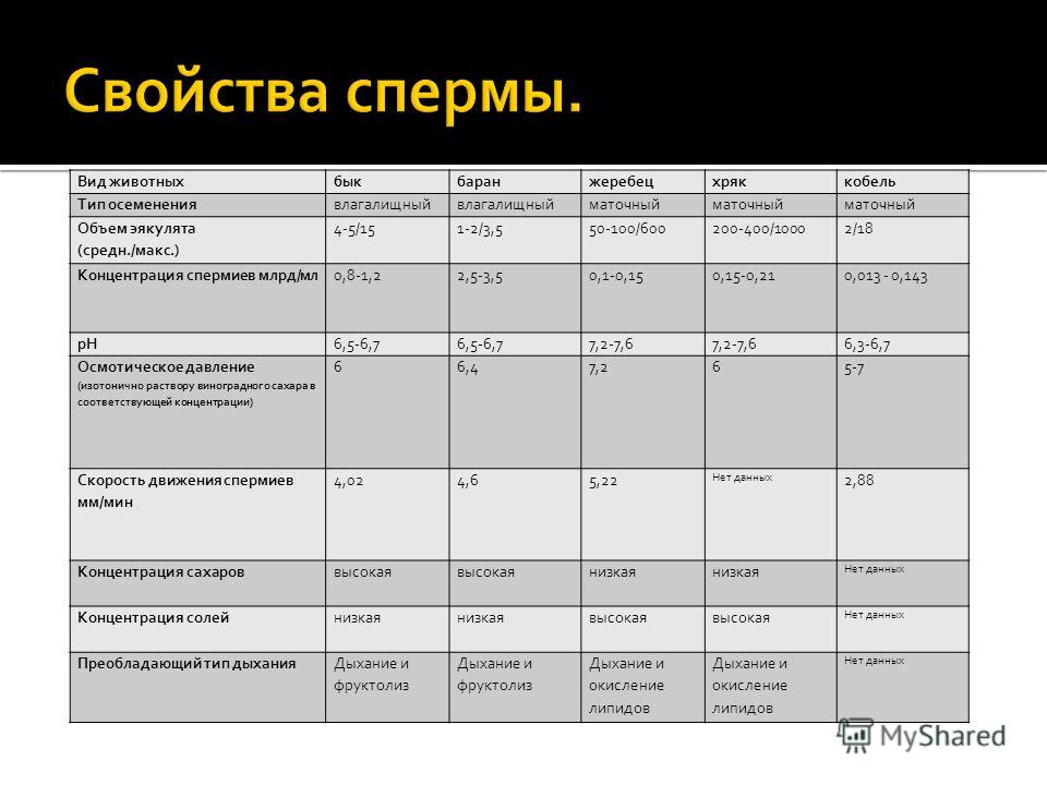 Сперма Ее Состав И Густота