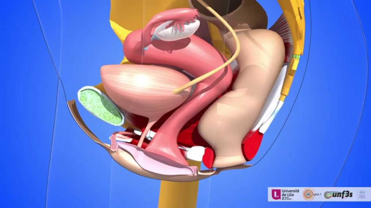 Порно Фото Ведущих Телевидения Крупным Планом