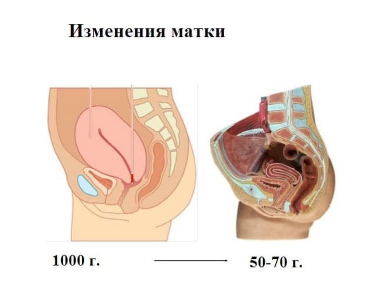 Порно Фото Ксюшей Бородиной