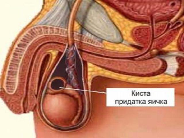 Врач Трогала Член Яички Брызнул Сперма Осмотр