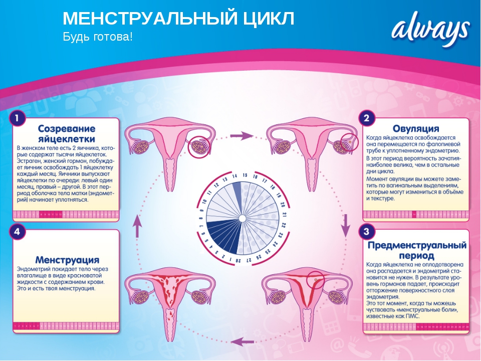 Задержка Менструации Шероховатость Во Влагалище